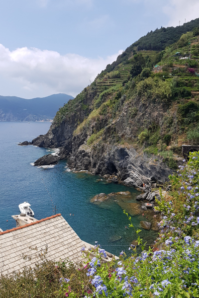 Excursión privada Cinque Terre