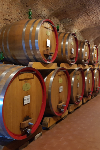 tour degustazione vino Firenze
